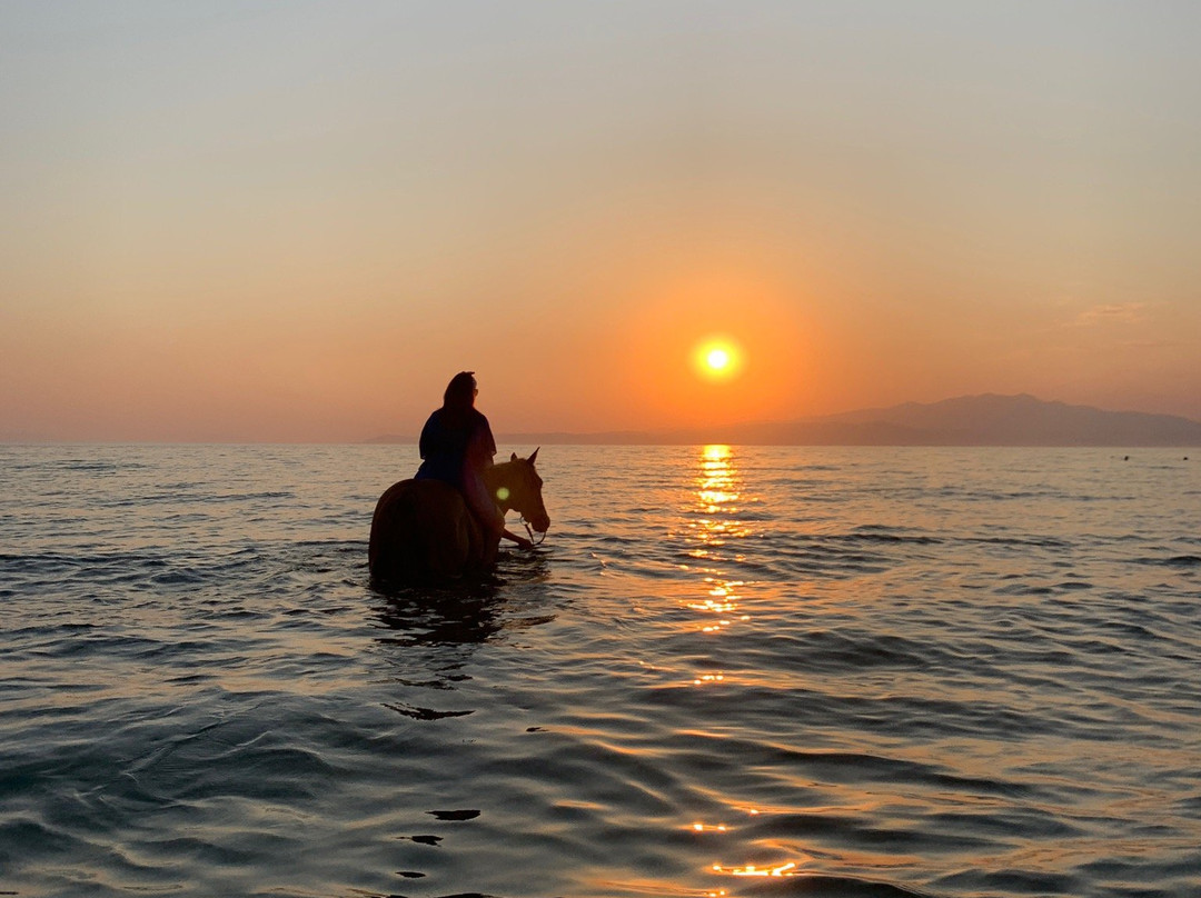 Thassos Horse Club景点图片