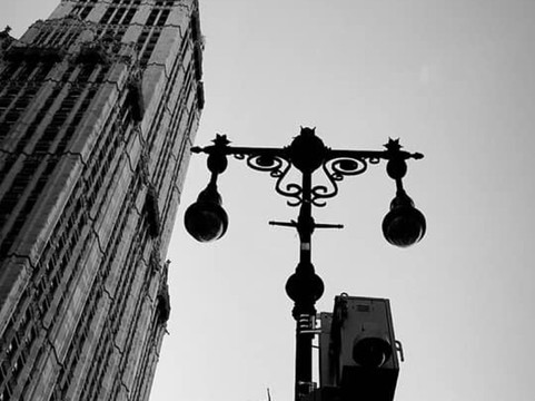 ニューとりやす