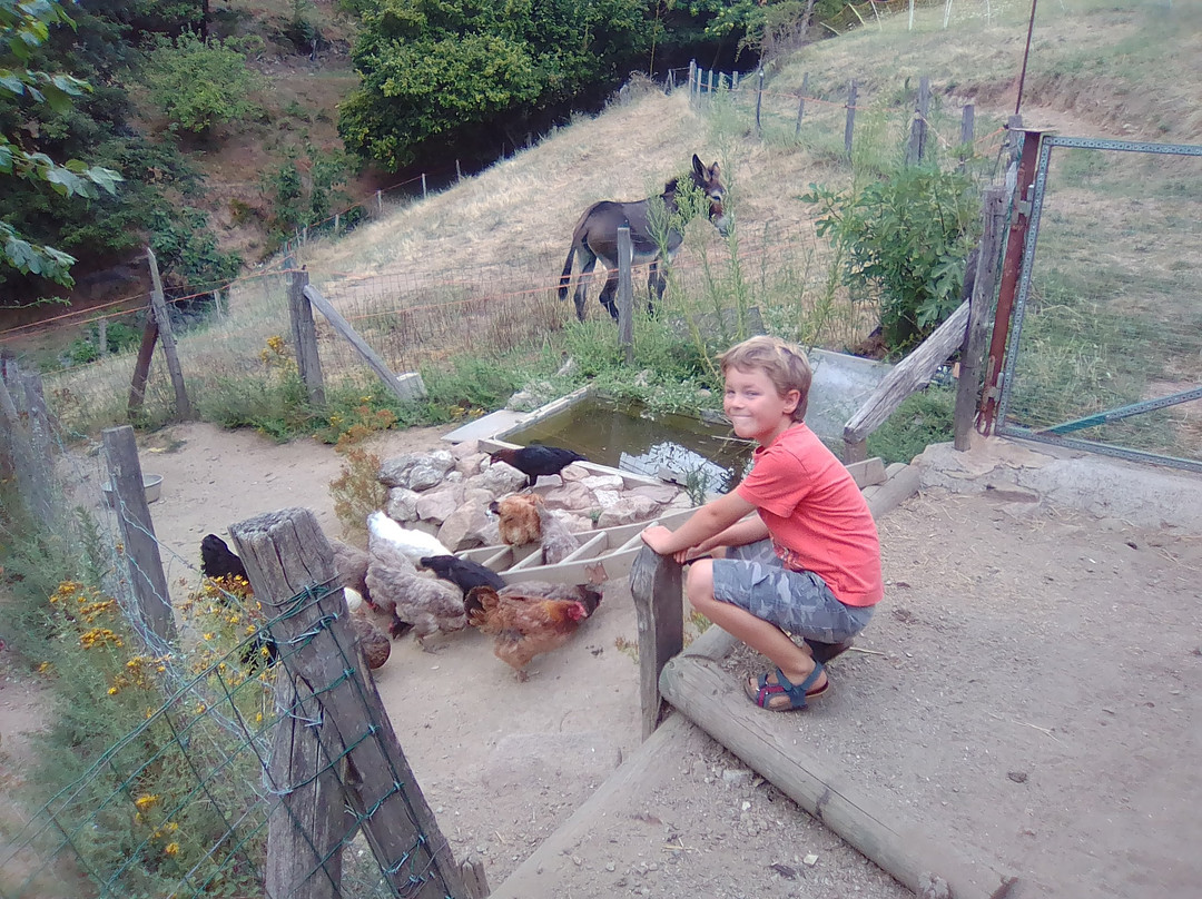 Au P'tit Bonheur主图