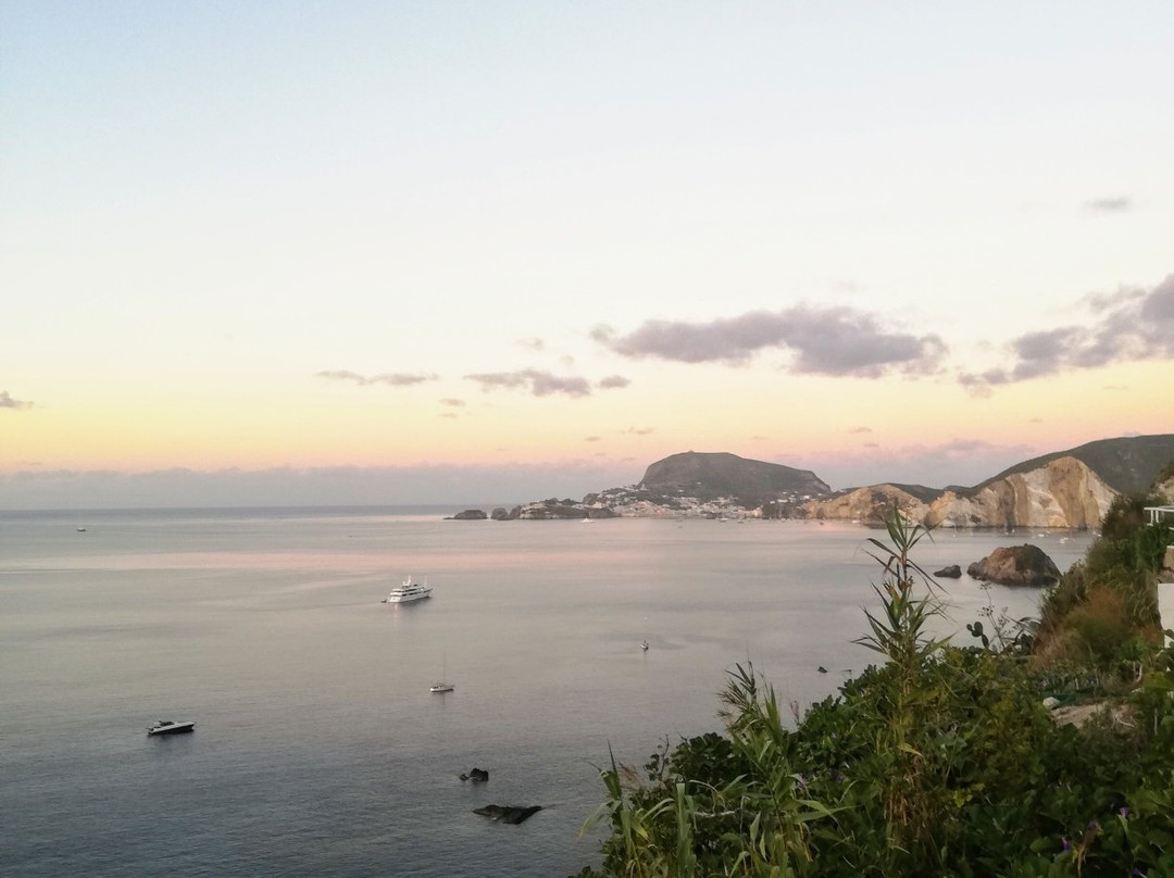 Isola di Ponza景点图片