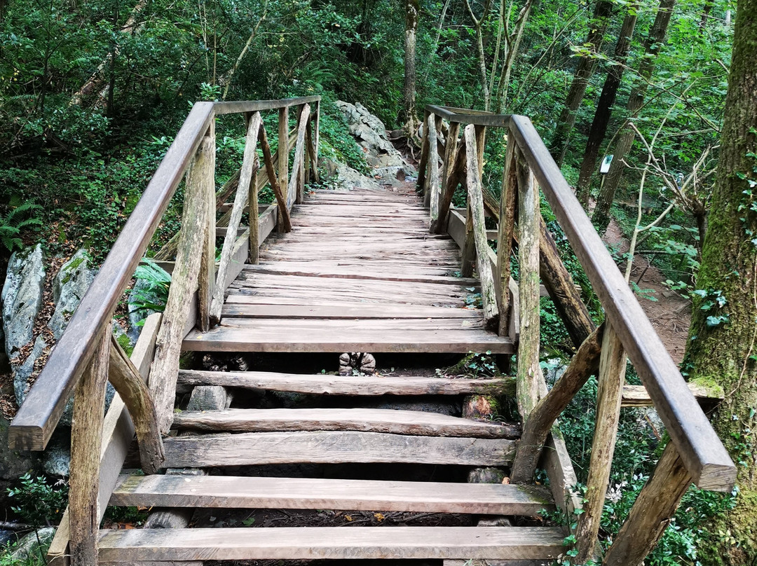 Cuevas de Zugarramurdi-Zugarramurdi必去景点