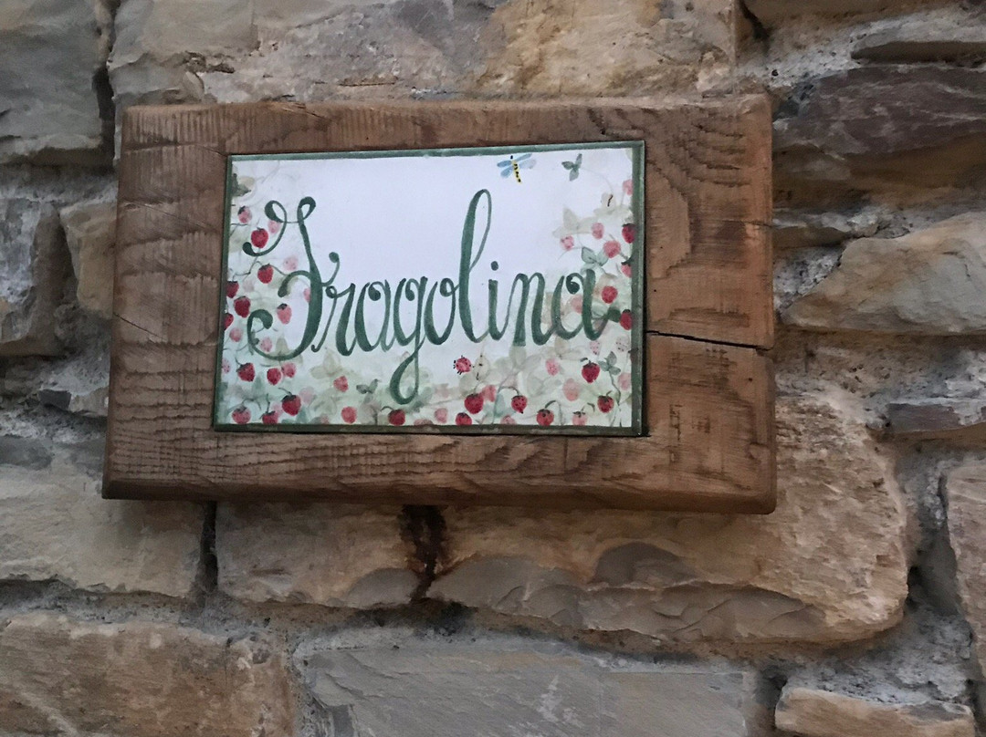 Agriturismo Tenuta Ca Di Bertucci主图