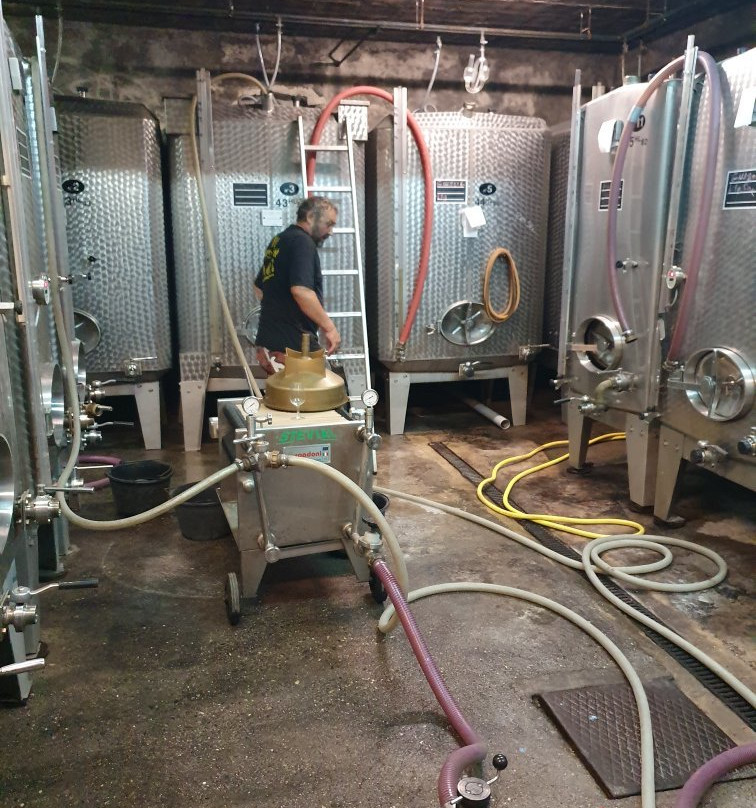 Domaine Pierre Colon景点图片