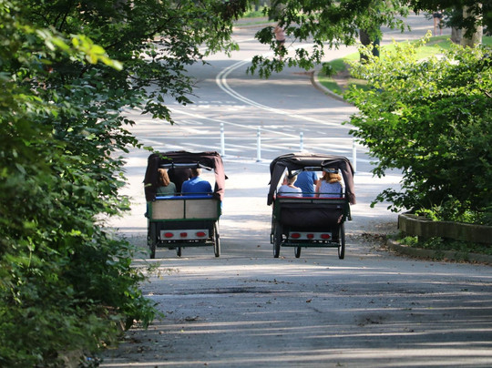 NYC Park Tours™ | Central Park Tours-纽约市必去景点