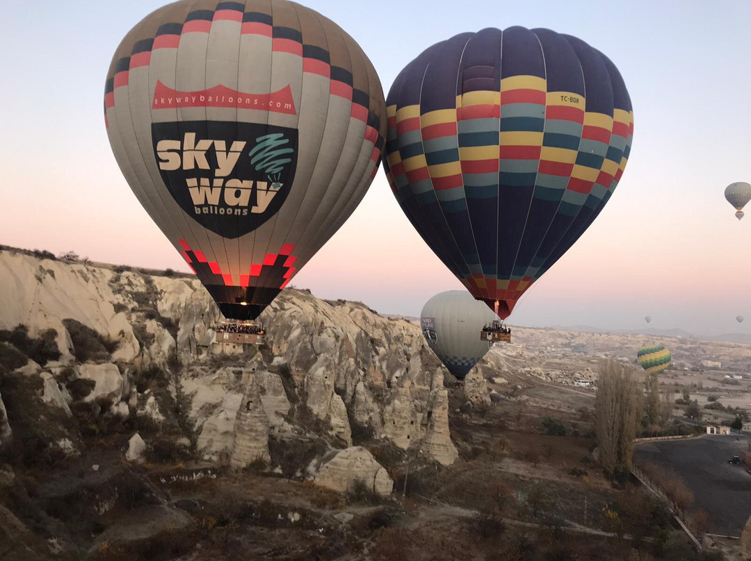 Skyway Balloons景点图片