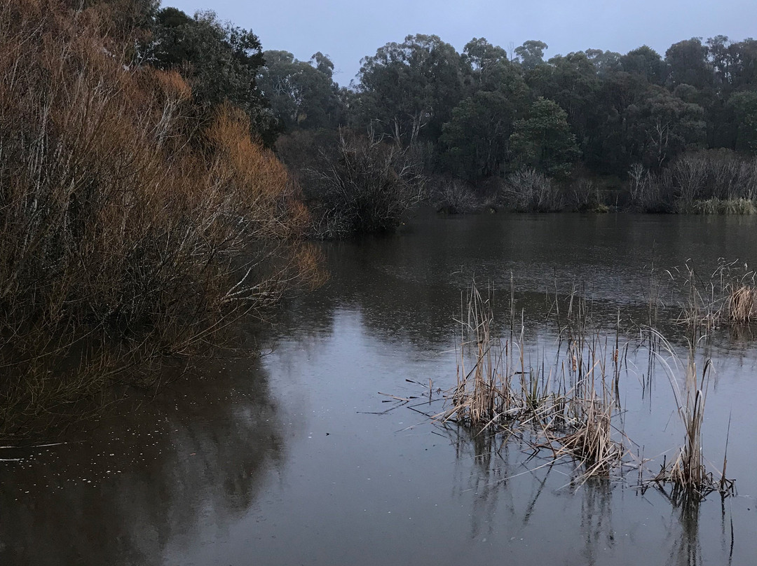 Wombat Flat Mineral Spring-戴尔斯福特必去景点