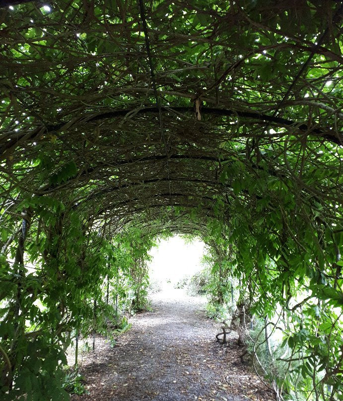 Fairbrook House Gardens & Museum of Contemporary Figurative Art-Kilmeaden必去景点