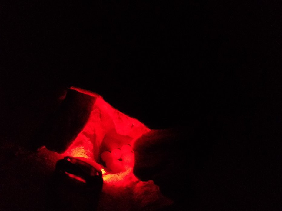 Calutours-萨尔雷必去景点