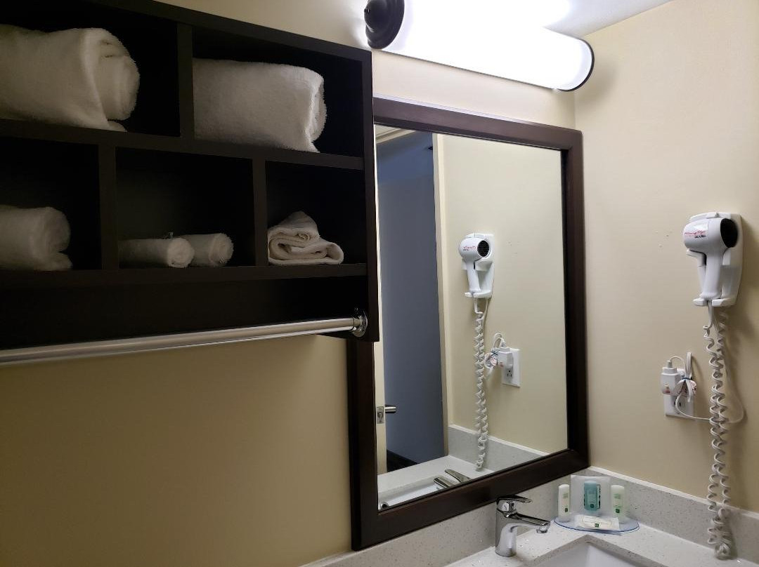 Quality Inn & Suites Bathurst主图