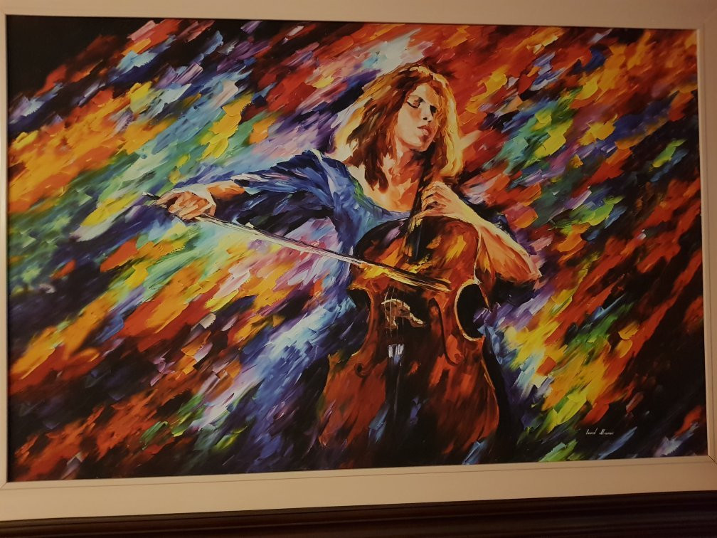 Hotel Villa San Francisco主图