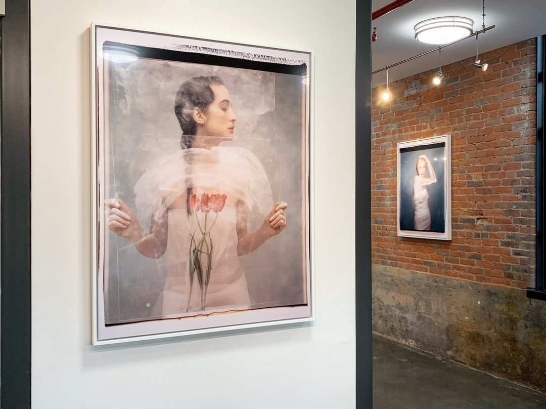 YJ Contemporary Fine Art-East Greenwich必去景点