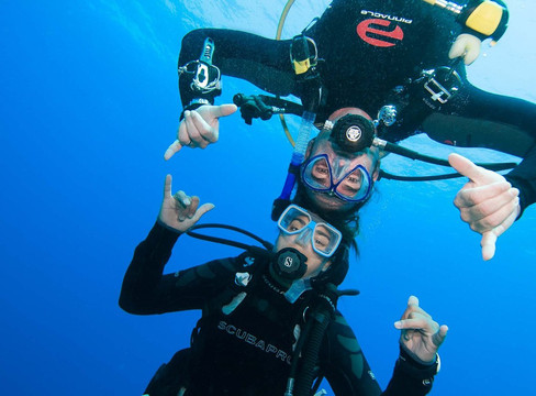 South Beach Dive and Surf Centers-迈阿密海滩必去景点