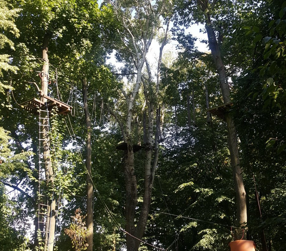 Cascader Rope Course Park景点图片