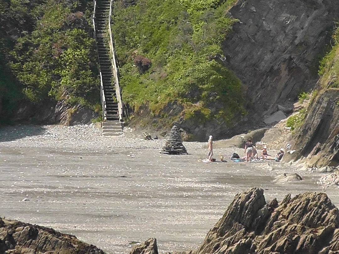 Lee Bay Beach-伊尔弗勒科姆必去景点