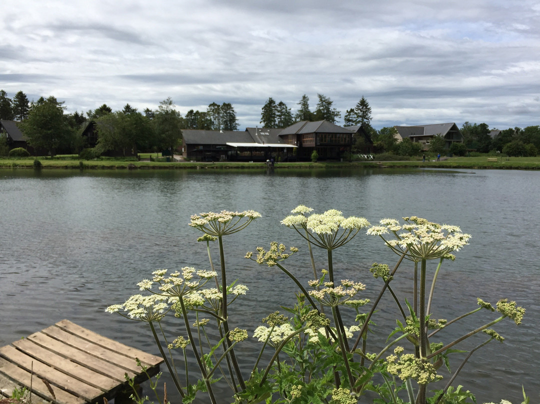 Forbes of Kingennie Country Resort Lodges主图
