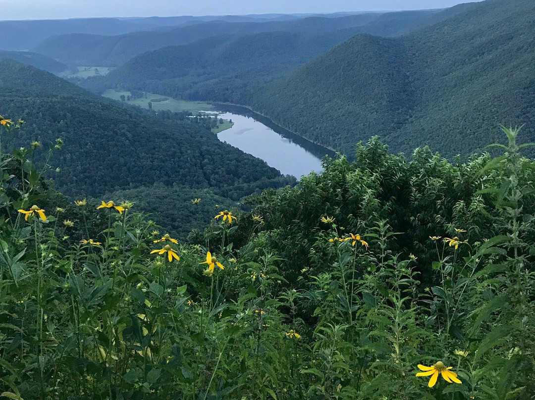 Kettle Creek State Park景点图片