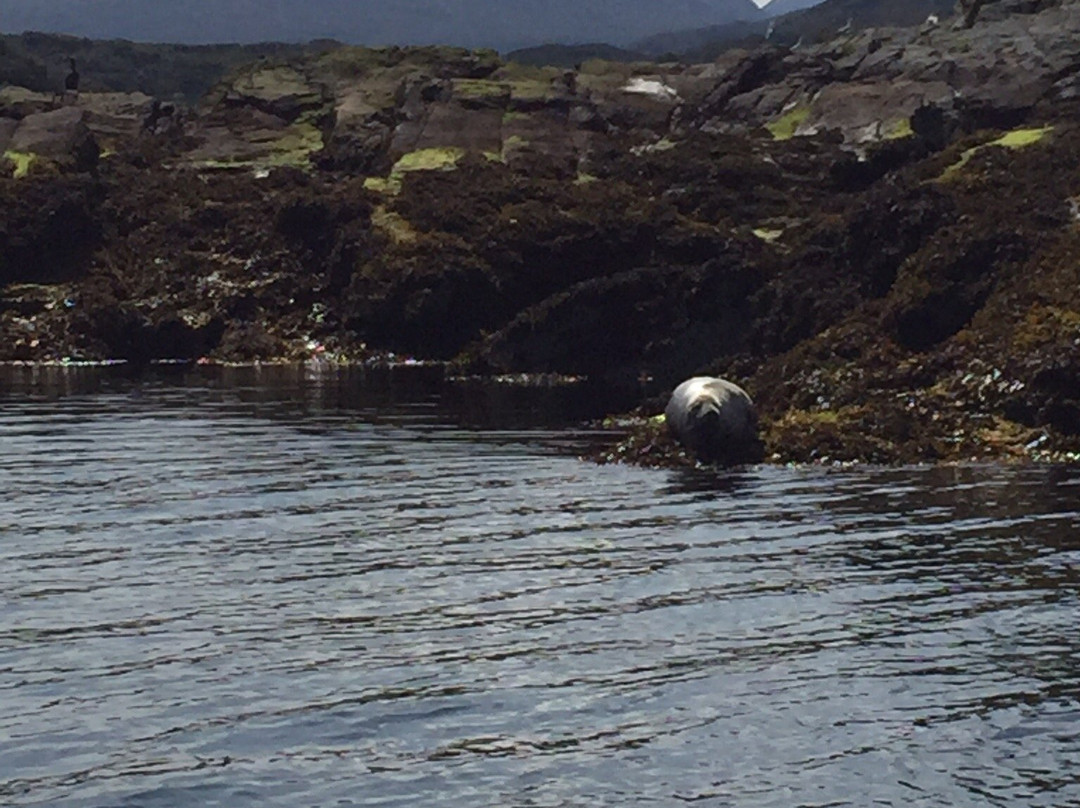 Gairloch Glass Bottom Boat Cruises景点图片