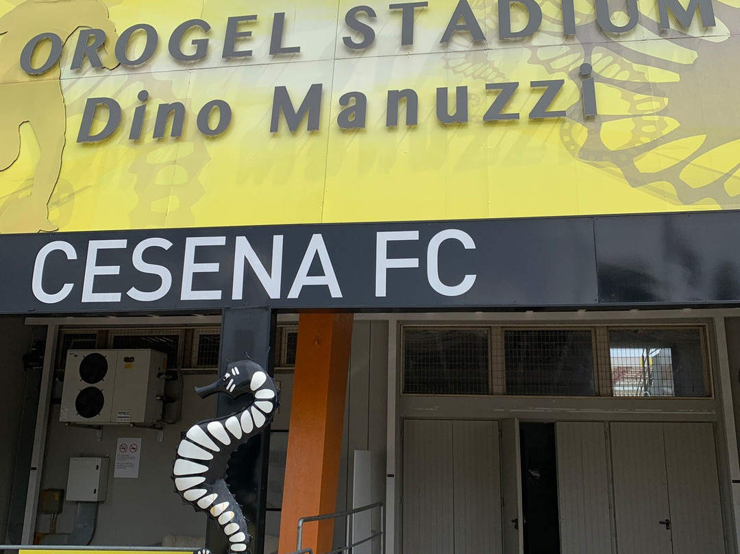 Orogel Stadium Dino Manuzzi景点图片