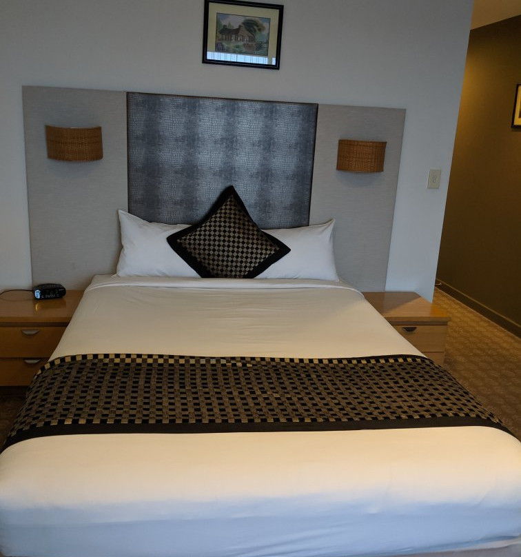 Golden Pebble Melbourne主图