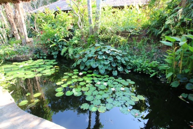 水上花园酒店主图