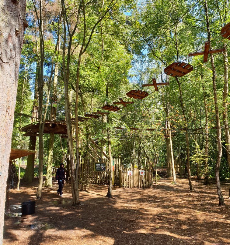 Go Ape Black Park景点图片