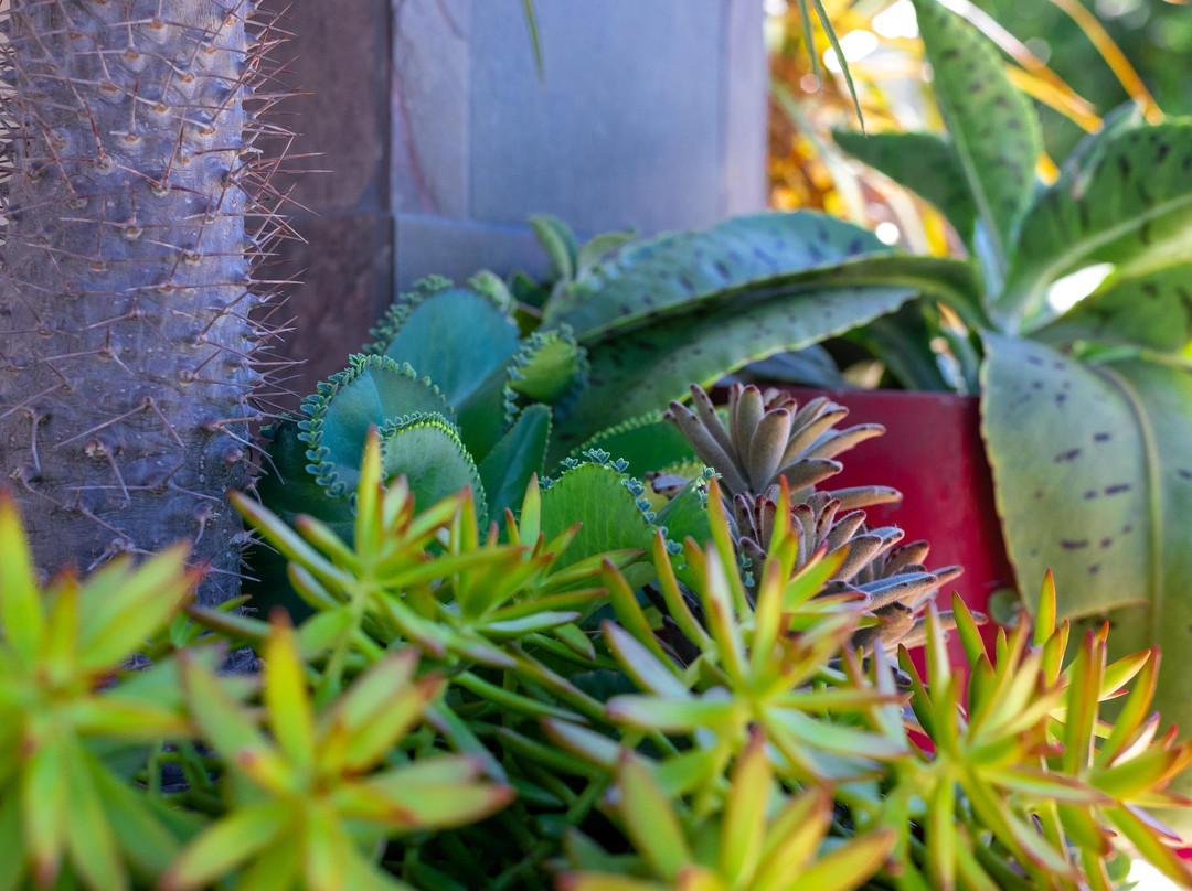 Aluna Wellness Center & Spa-Bradenton Beach必去景点