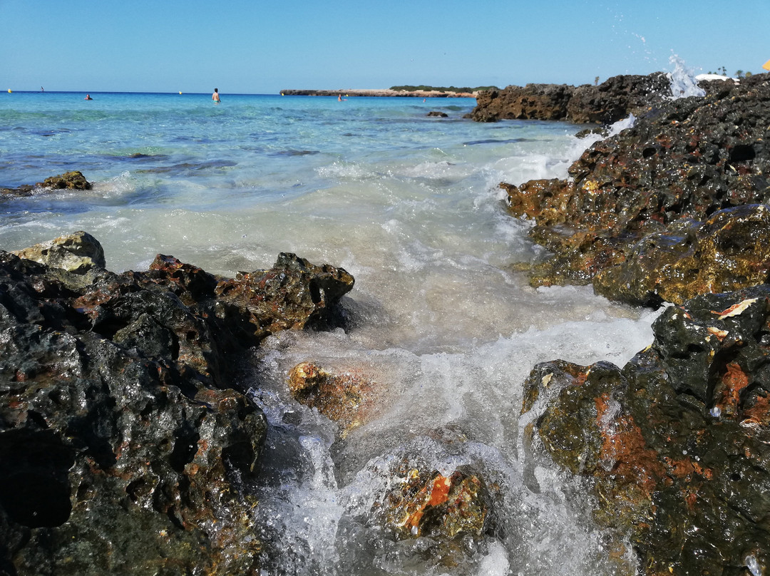 Platja de Son Xoriguer-卡兰博希必去景点