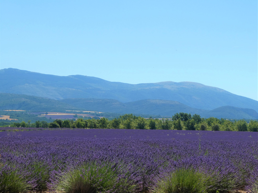 Hotel Restaurant La Fontaine主图