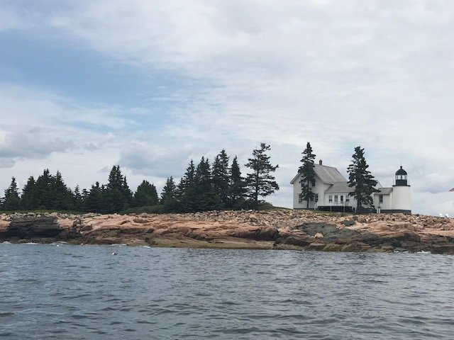 Sea Venture Boat Tours-巴港必去景点