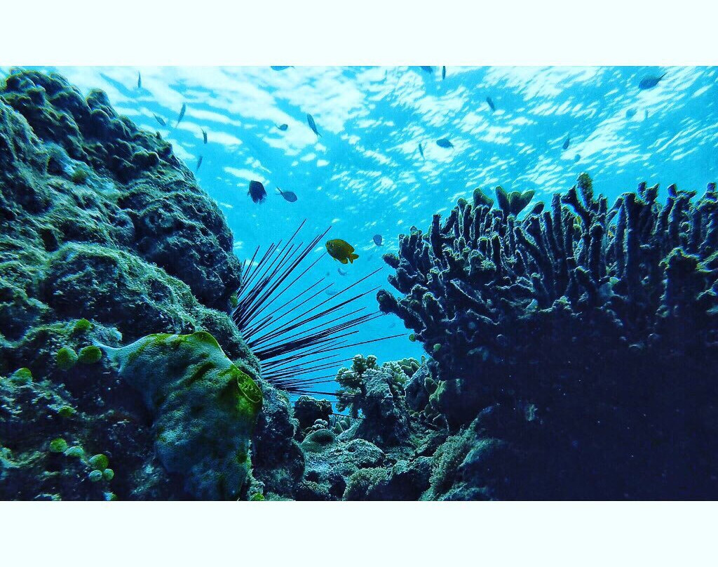 Black Beach Divers-曼巴豪必去景点