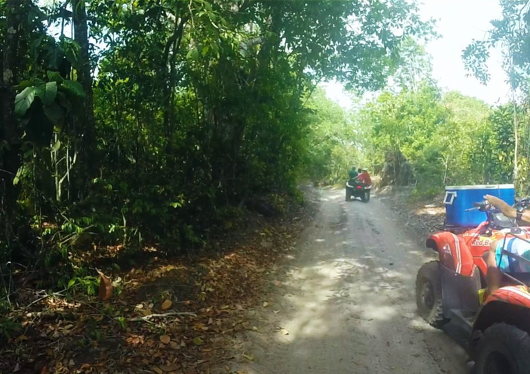 Agência de Turismo DanTour | Passeios em Boipeba-Velha Boipeba必去景点