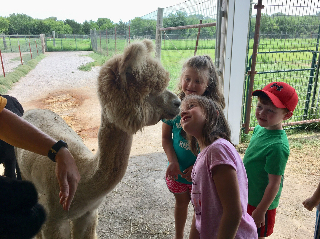 Manna Meadows Alpacas-Bonner Springs必去景点