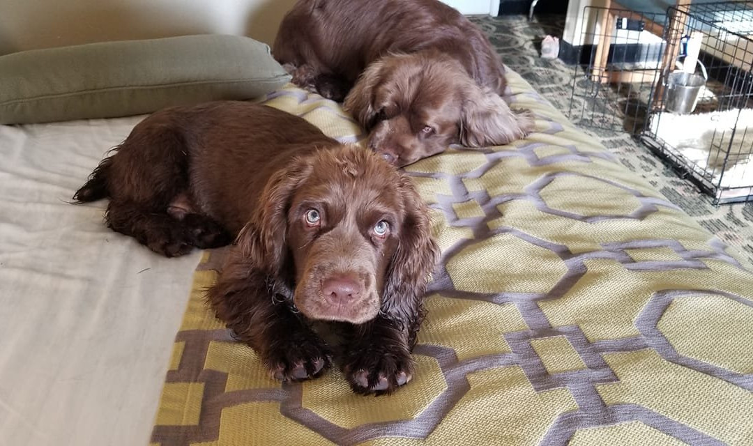 Baymont by Wyndham Casper East主图