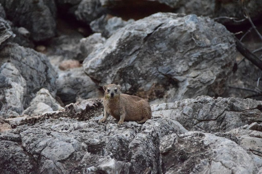 Sophienhof Lodge主图