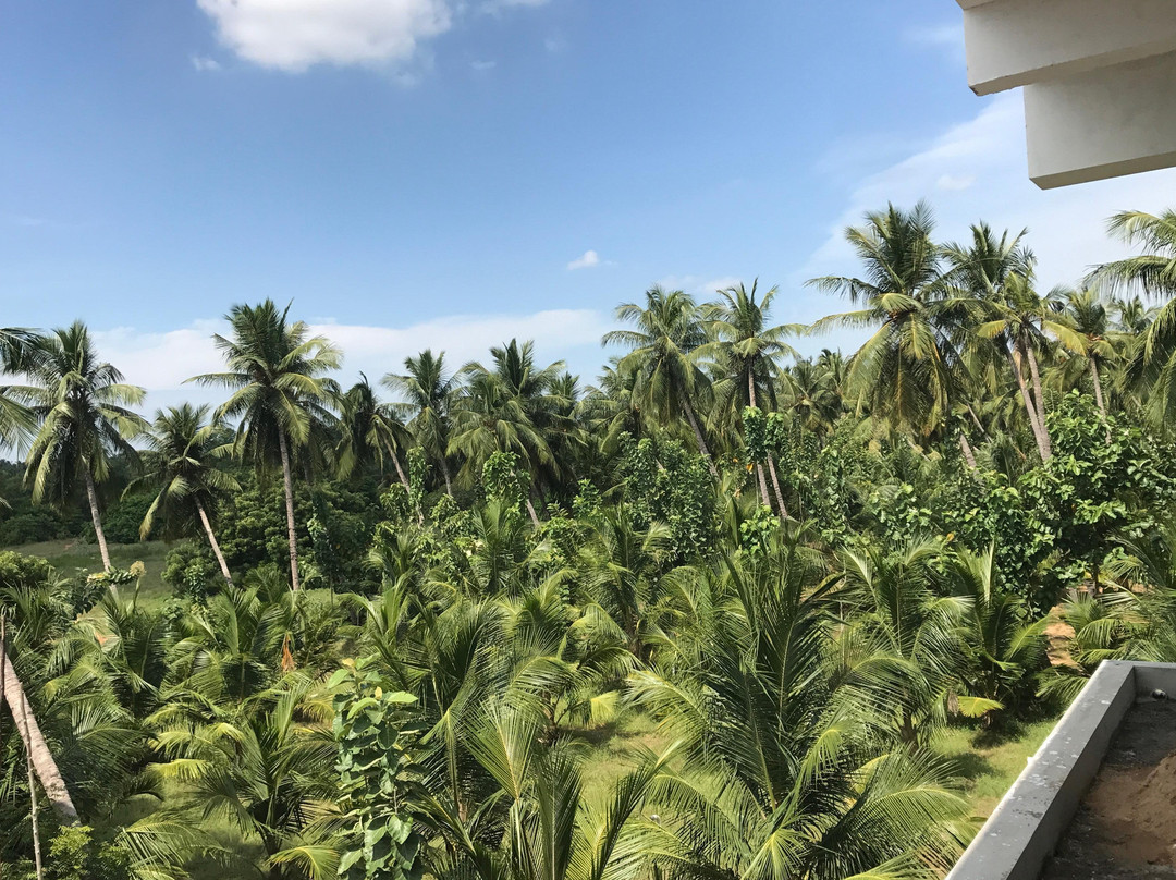 SriMa International School of Transformational Yoga-朋迪榭里必去景点