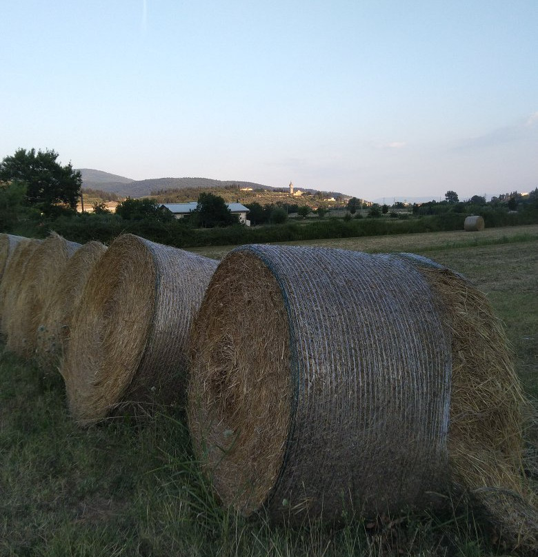 Parco Agricolo di Travalle景点图片