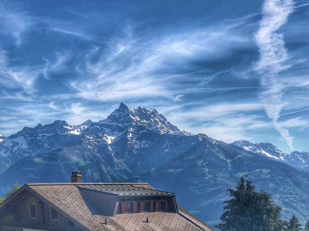 Alpe Fleurie Hotel & Residence主图