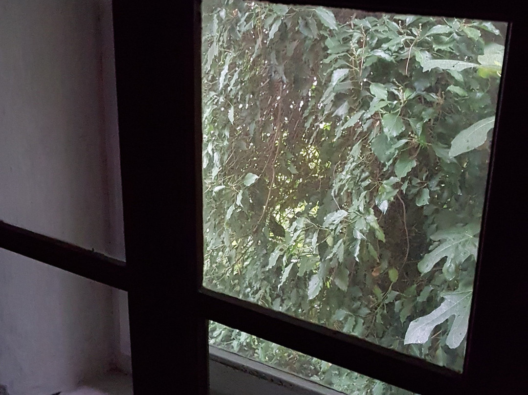 Agriturismo Il Cammino主图