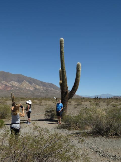 Parque Nacional Los Cardones-卡奇必去景点