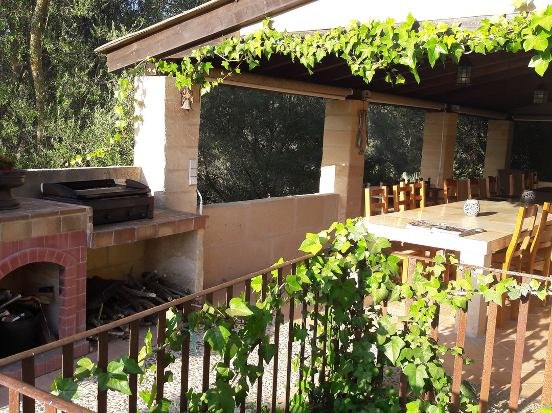 Finca Son Torrat主图