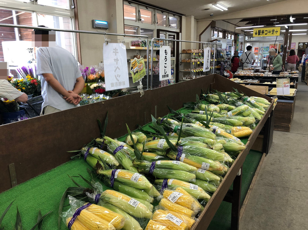 Michi-no-Eki Green Flower Farm Taiko-前桥县必去景点
