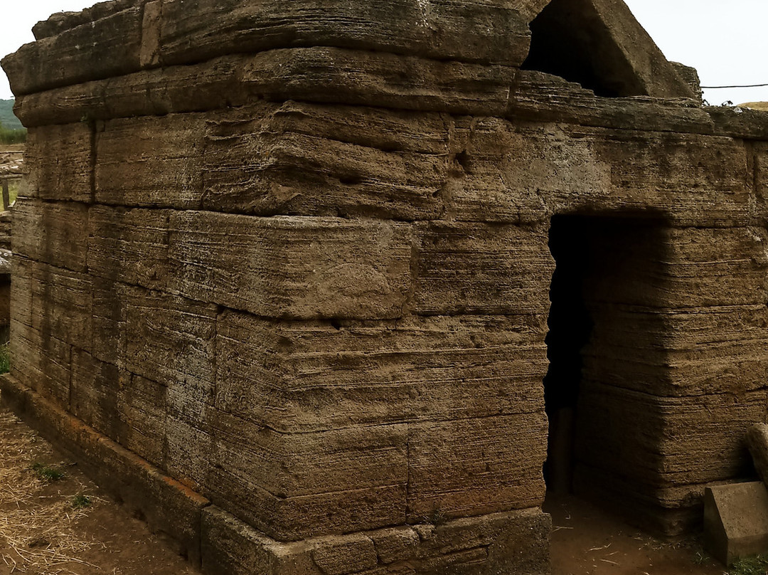 Baratti and Populonia Archeological Park景点图片