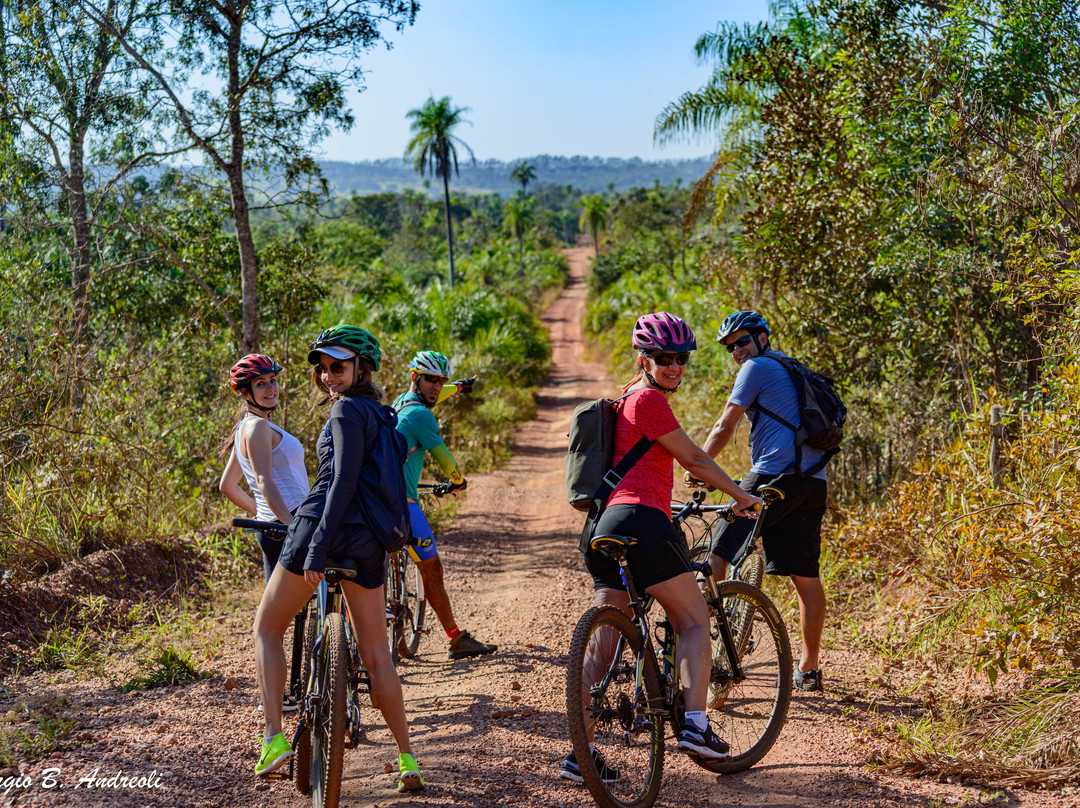 Rota Aventura Trilhas de Bike景点图片