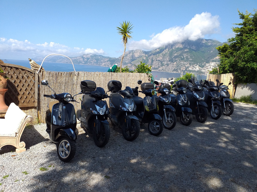 MR Rent a Scooter景点图片