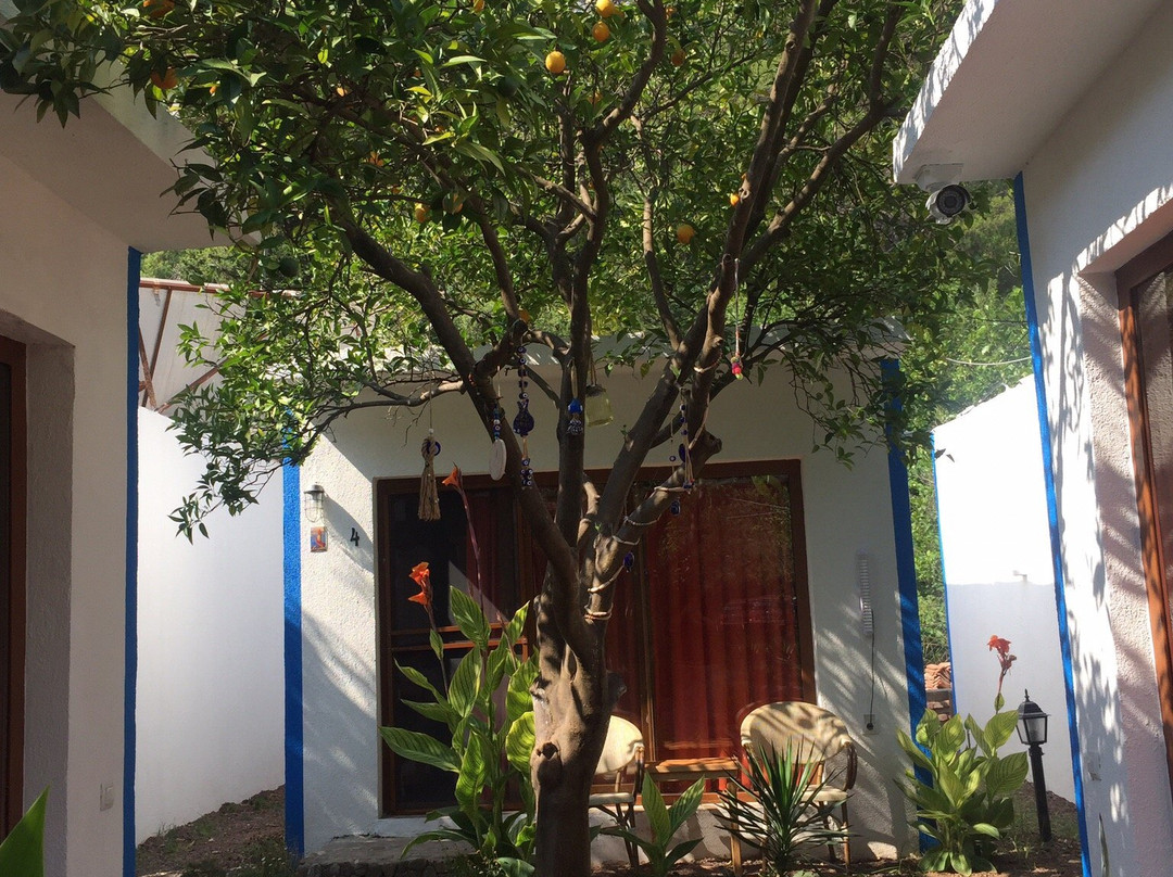 Relax Point Butik Pansiyon主图