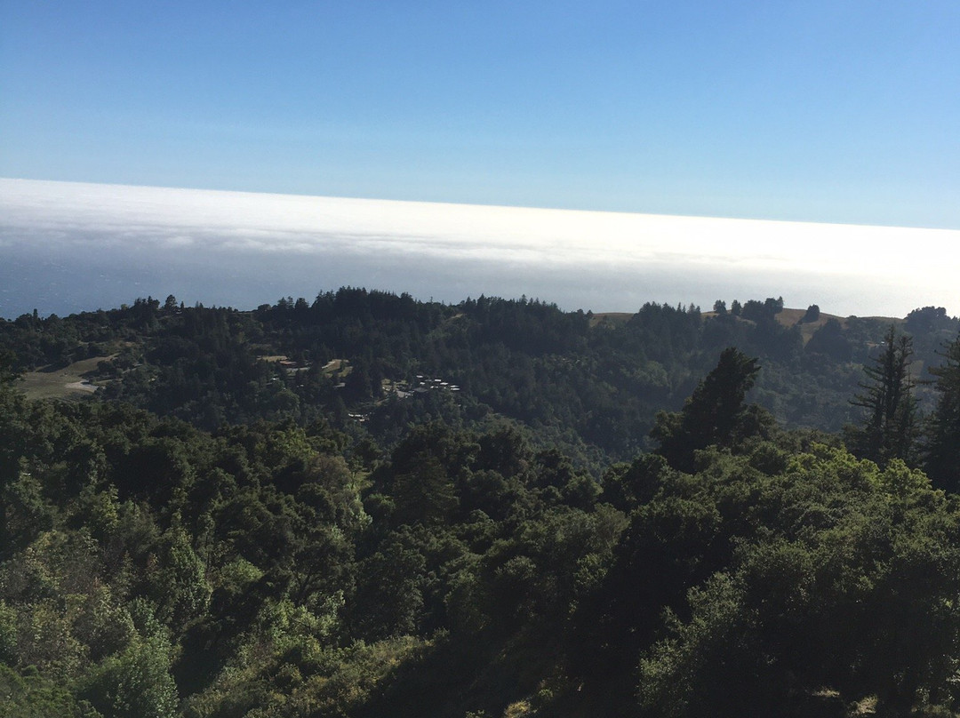 Big Sur Majestic Equine Services-大苏尔必去景点