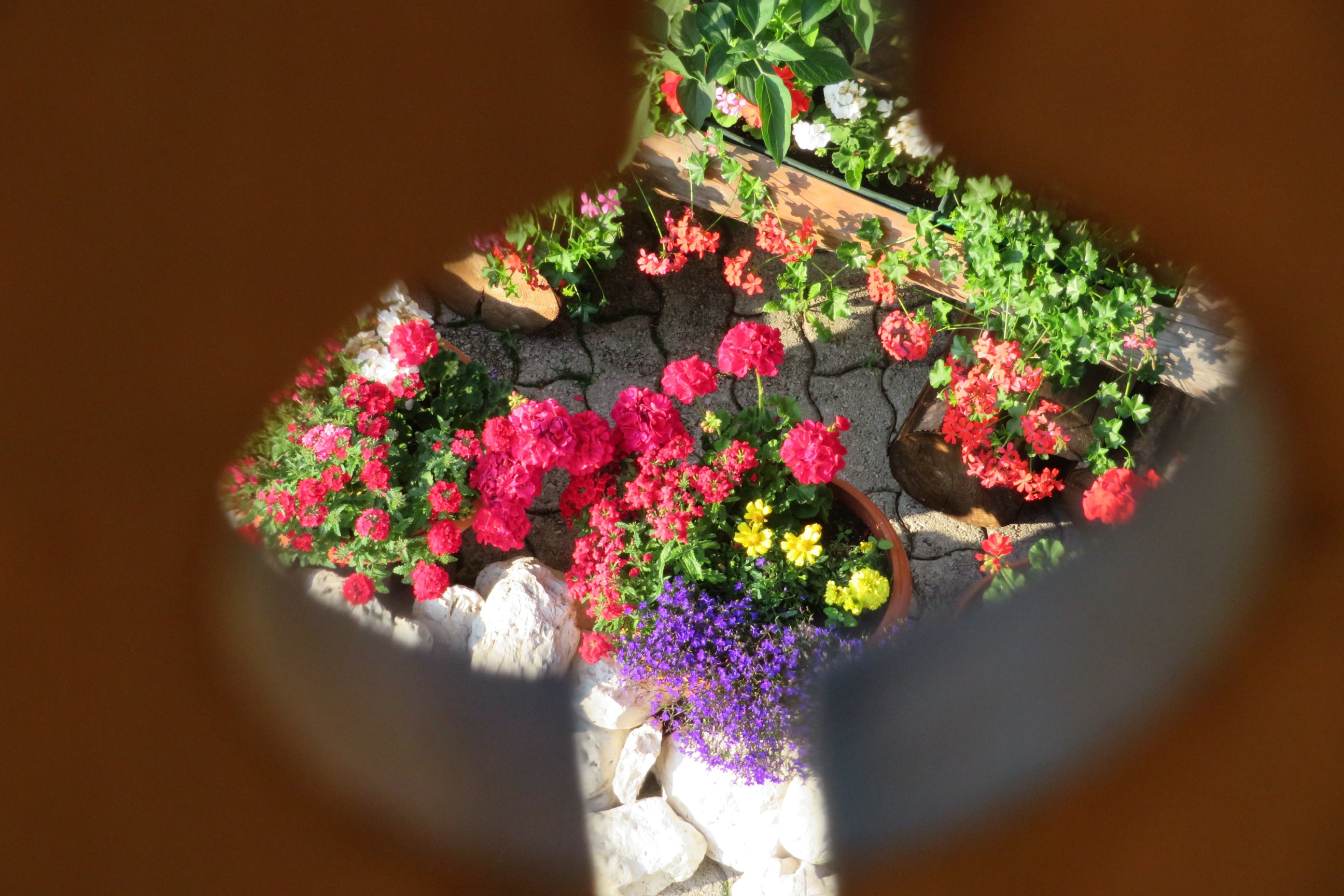 Hotel Genzianella-酒店景观