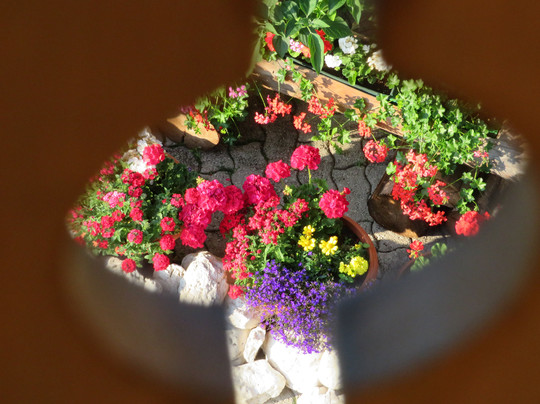 Hotel Genzianella主图