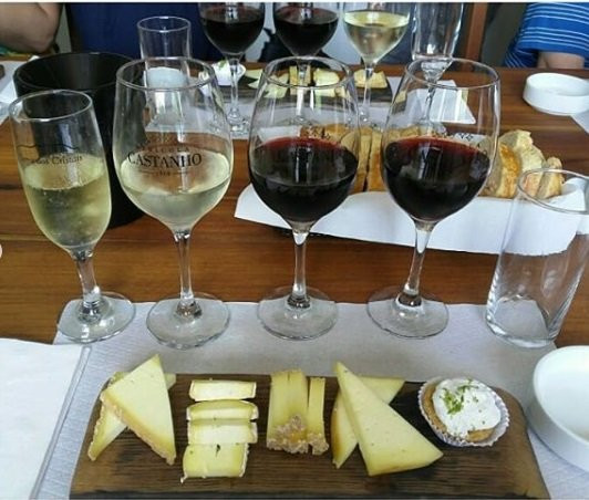 Vinicola Castanho-容迪亚伊必去景点