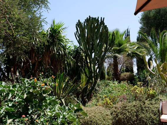 索维拉酒店住宿-Le Jardin des Douars